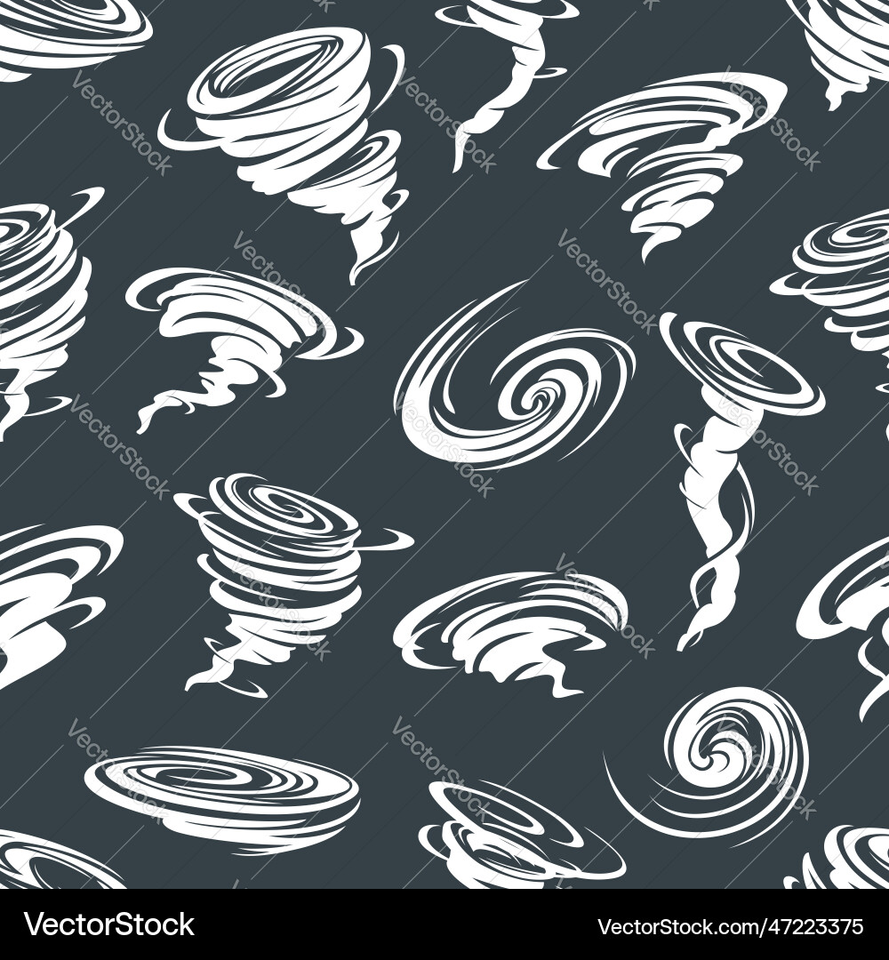 Tornado Whirlwind Pattern vector image