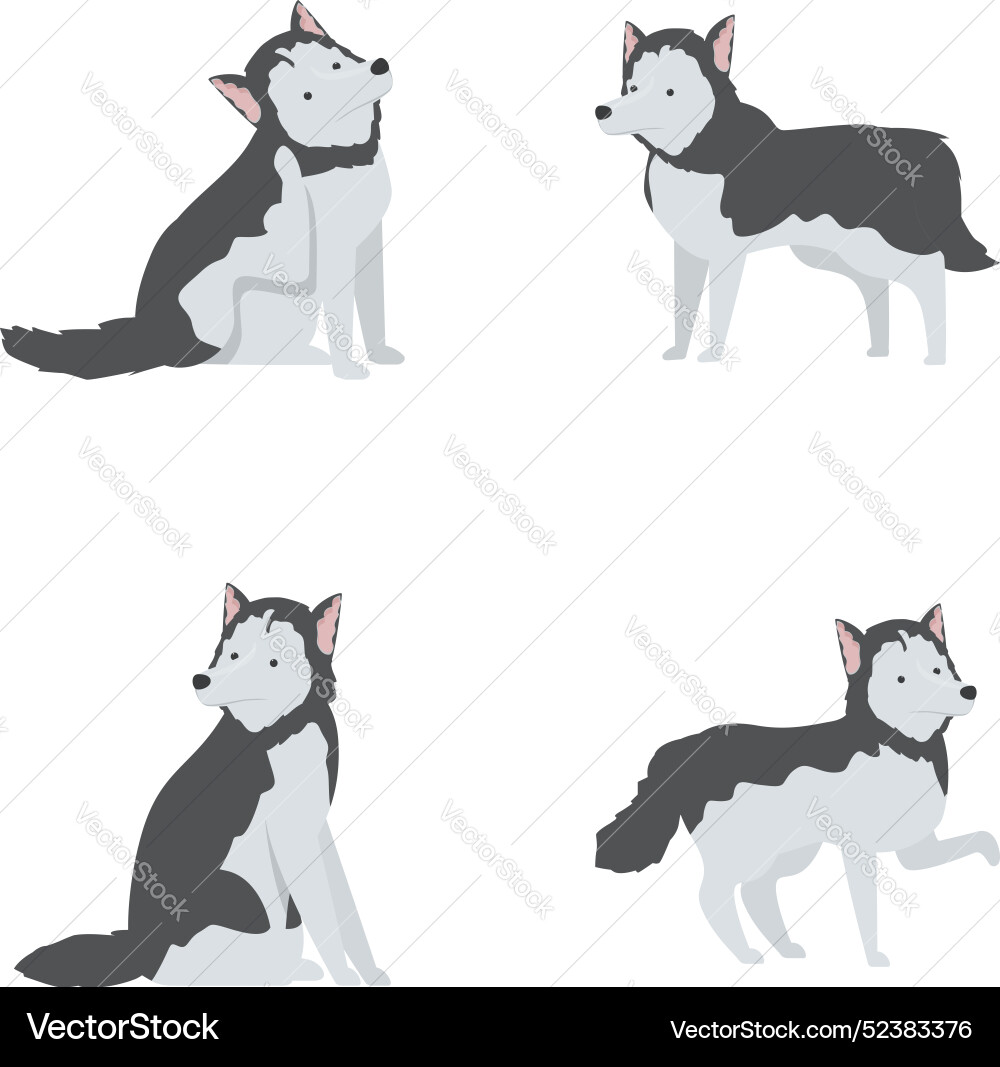 Cartoon siberian husky set in various poses Cartoon siberian husky set in various poses vector image