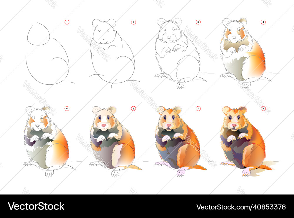 How to learn draw sketch of cute hamster How to learn draw sketch of cute hamster vector image