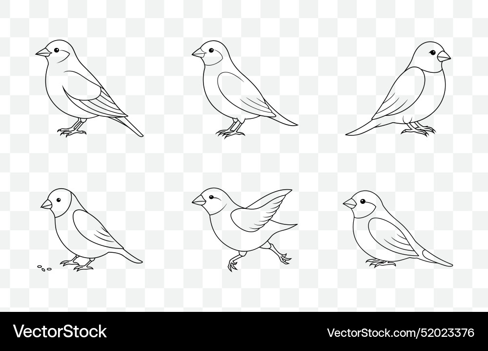 Print comprehensive finch line art set Print comprehensive finch line art set vector image