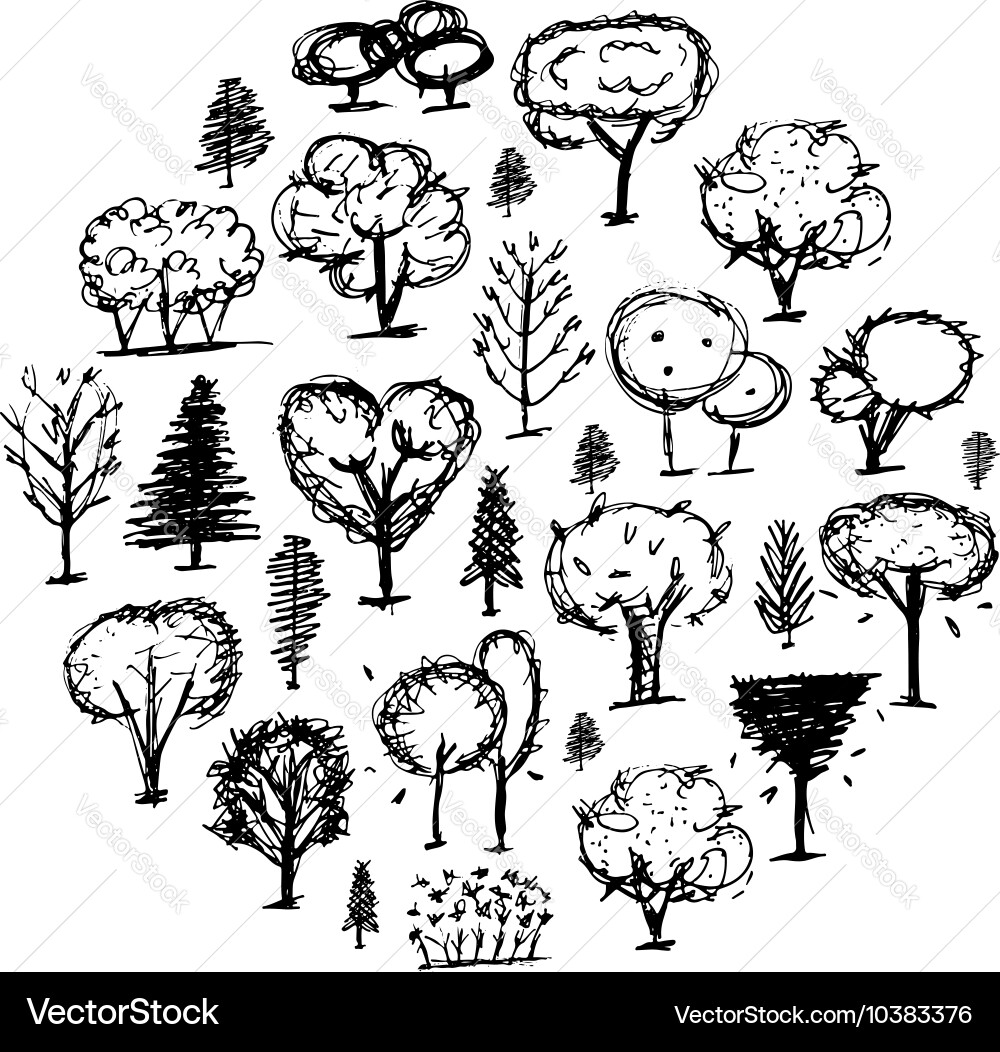Trees collection sketch for your design Vector Image