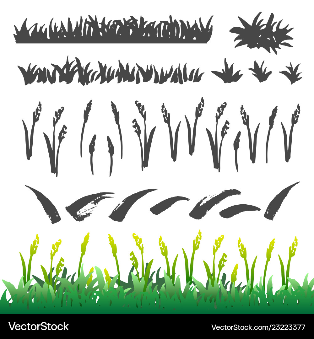 Grass drawing elements – Royalty-Free Vector | VectorStock, image size:1000x1080