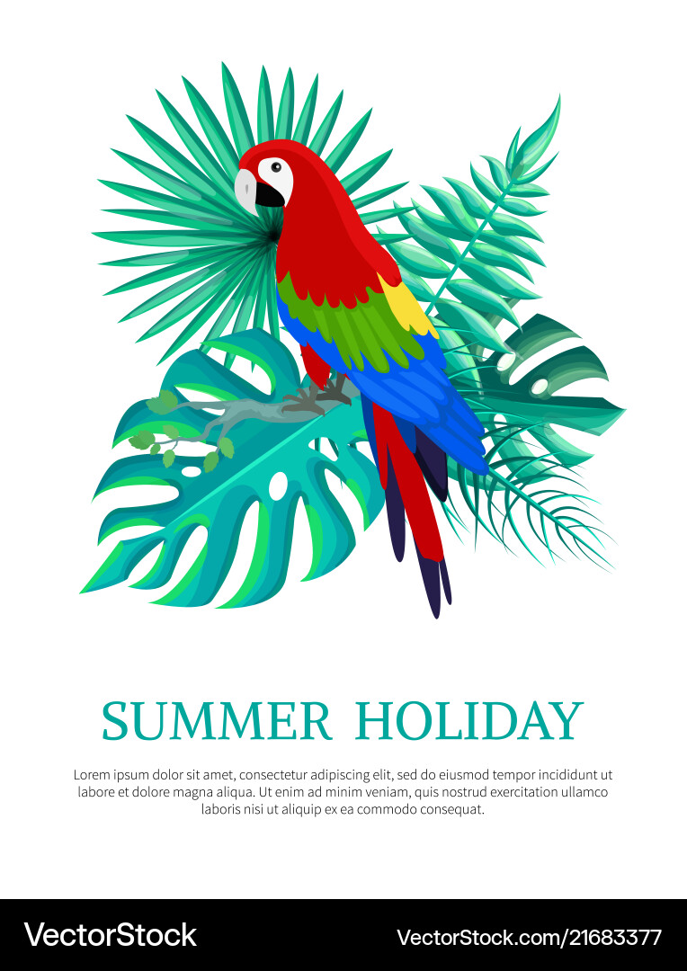 Summer holiday text poster Summer holiday text poster vector image
