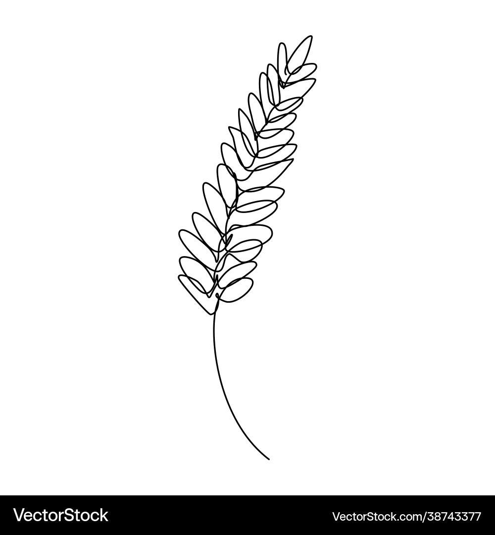 Wheat in continuous line art style with editable Wheat in continuous line art style with editable Vector Image