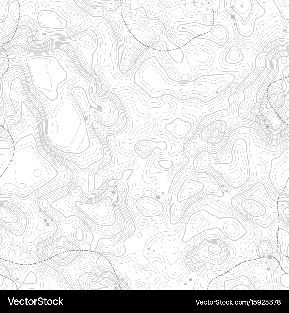 Seamless pattern topographic map background vector image