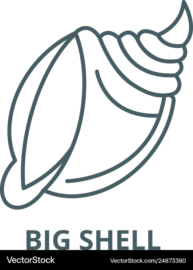Big shell line icon outline Big shell line icon outline vector image