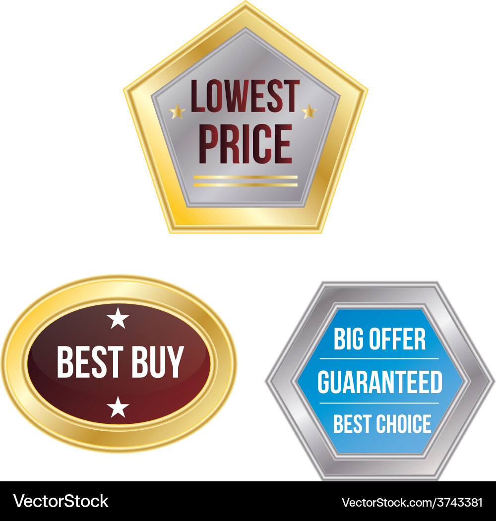 A set labels with text and different designs vector image