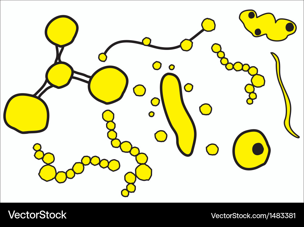 Abstract molecular structure background vector image