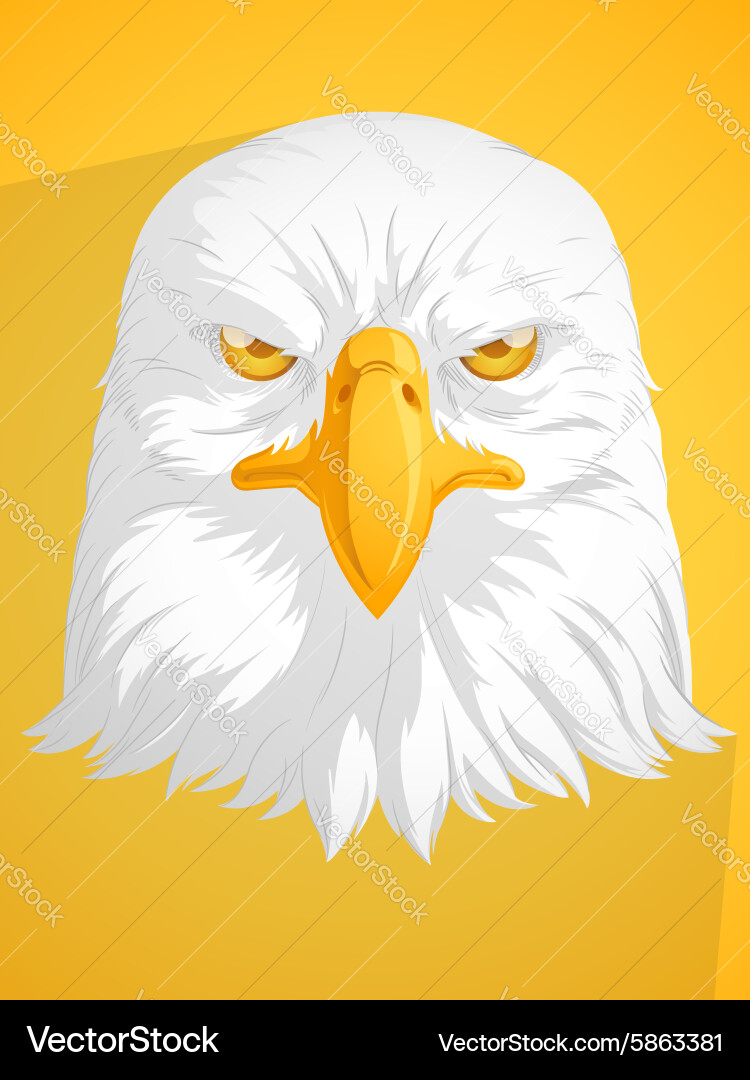 Bald Eagle Head Vector Image