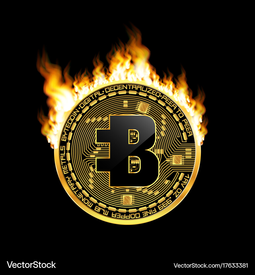 Crypto currency bytecoin golden symbol on fire – Royalty-Free Vector |  VectorStock