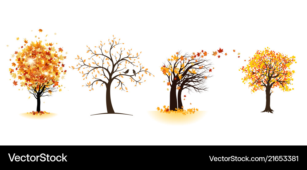 Fall maple trees set Royalty Free Vector Image