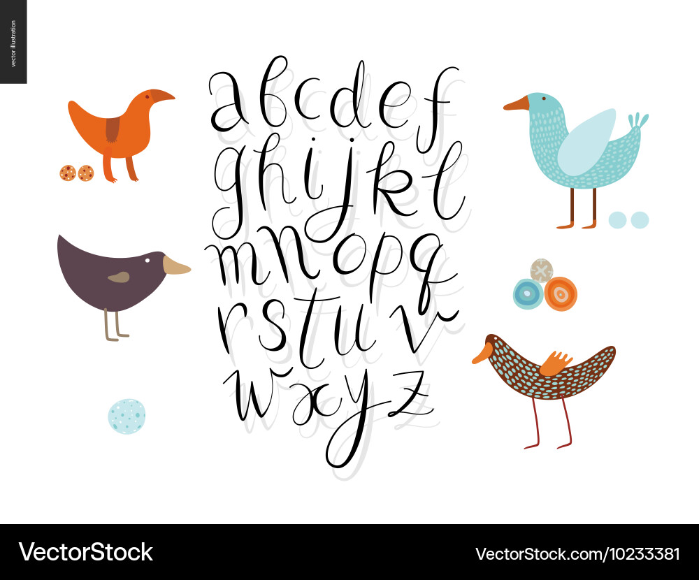 Script Bird Font Set vector image