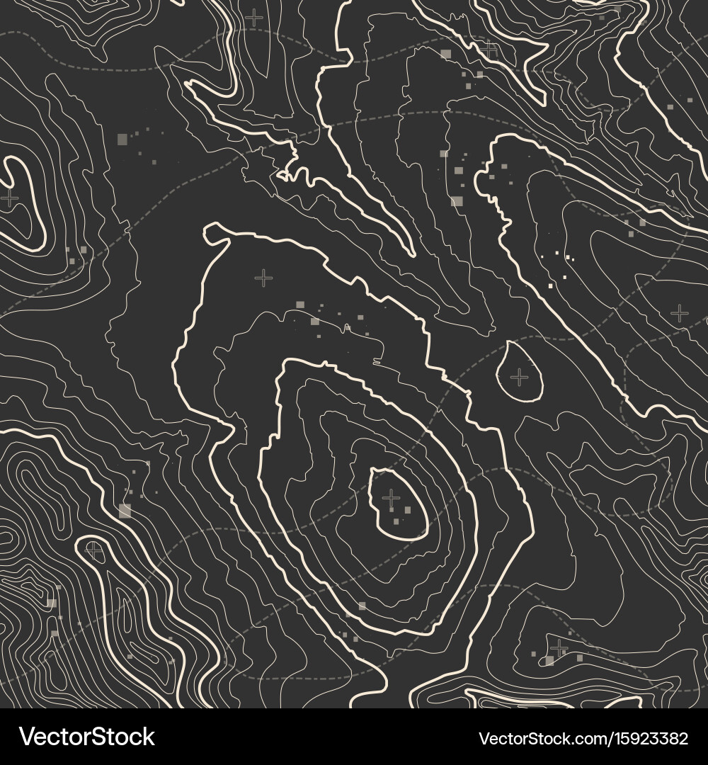 Topographic Map Seamless Pattern vector image