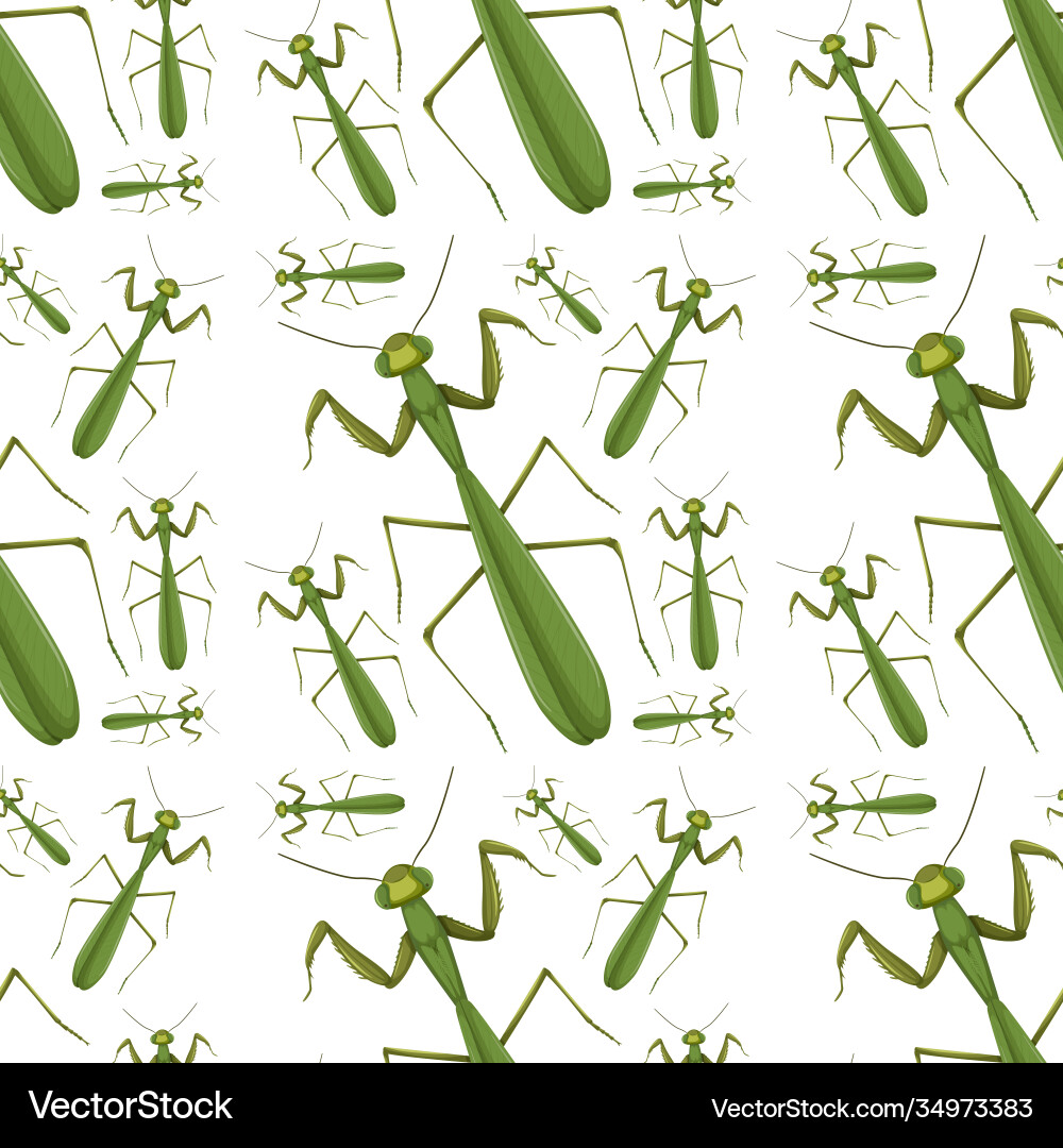 Mantis on seamless background Mantis on seamless background vector image