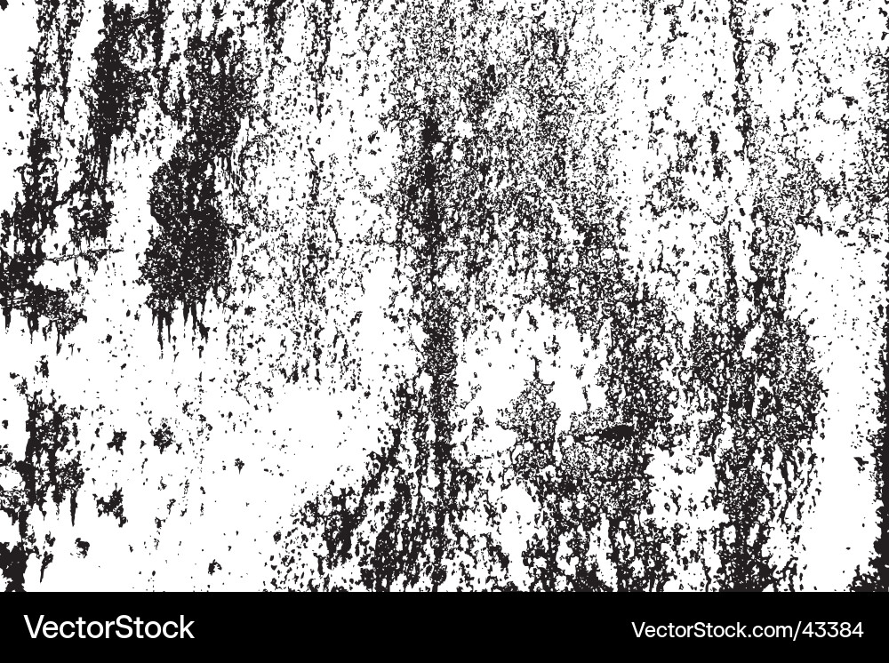 Black and White Rust Texture vector image