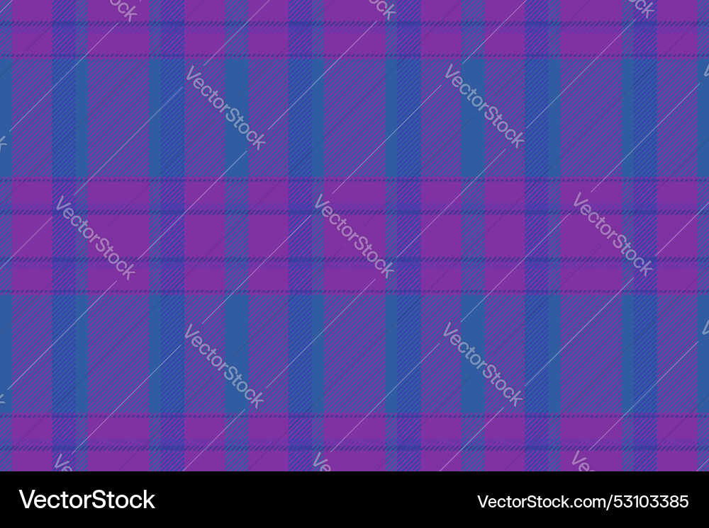 Proud pattern check texture stylish background Vector Image