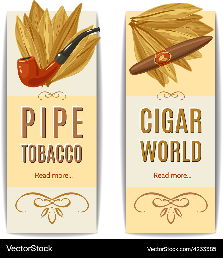 Tobacco Banners - Pipes & Cigars Vector Image