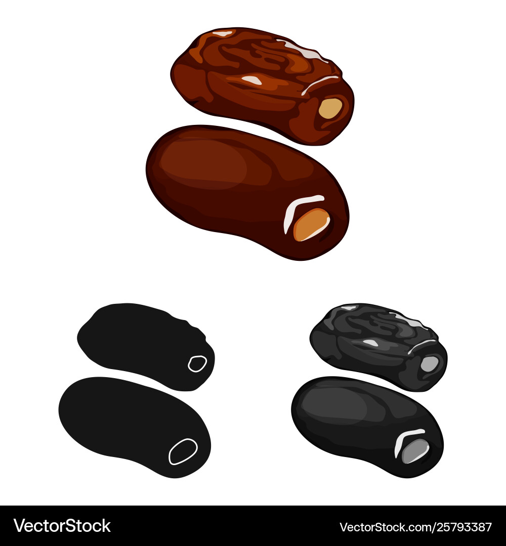 Design dates and palm sign collection Vector Image