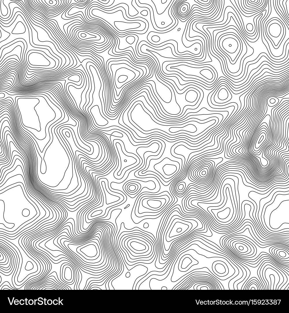 Seamless pattern topographic map background Vector Image