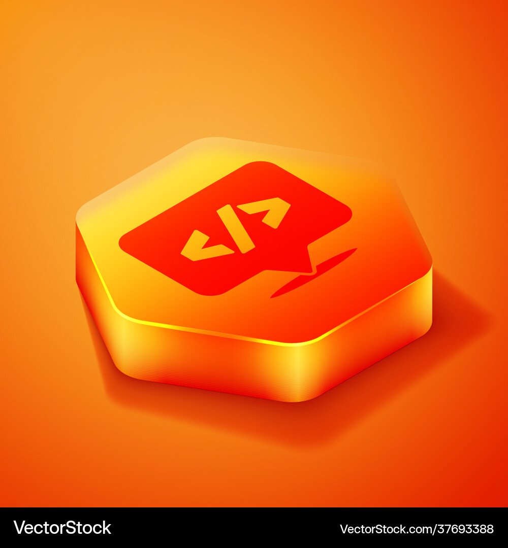 Isometric web design and front end development Isometric web design and front end development vector image