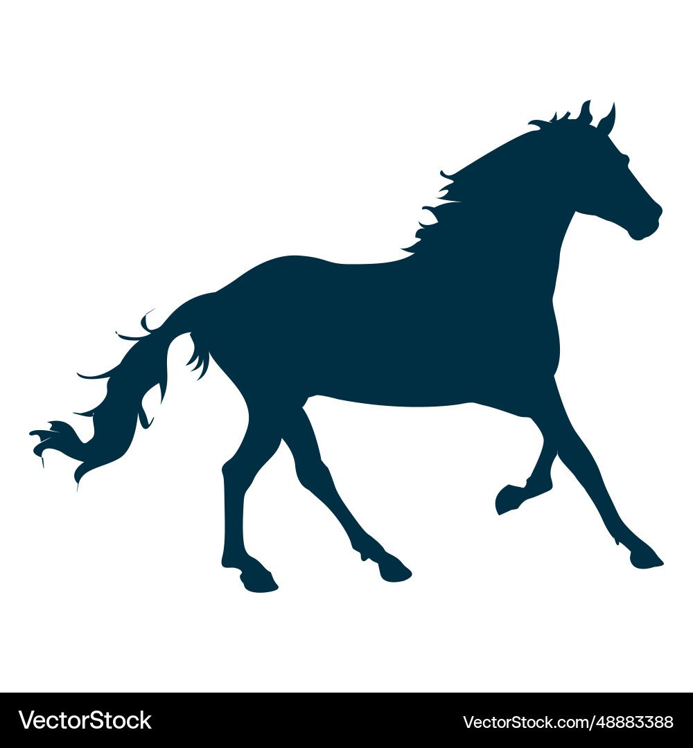 Pferd Kanter Silhouette Pferd Kanter Silhouette vektorbild