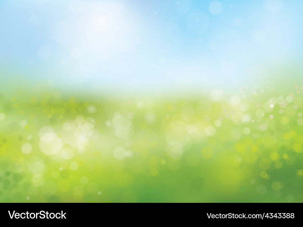 Spring Bokeh Nature Background vector image