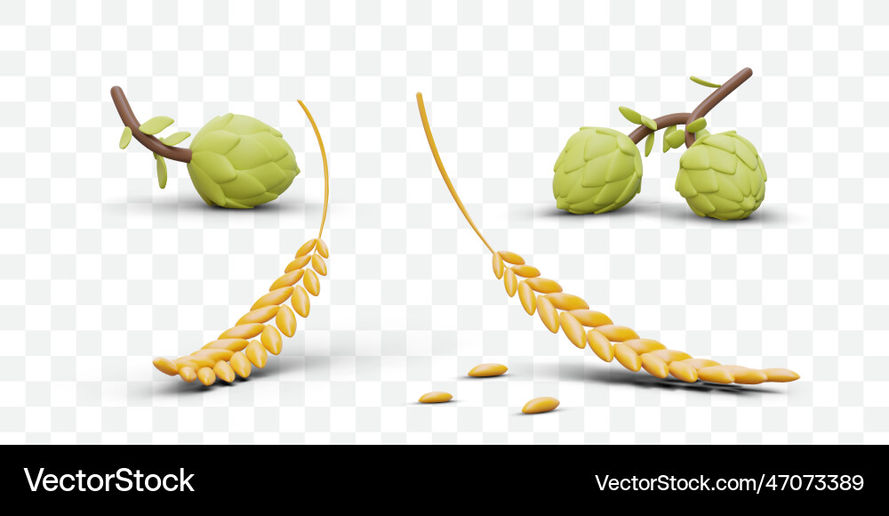 3d elements for brewing three dimensional icons 3d elements for brewing three dimensional icons vector image
