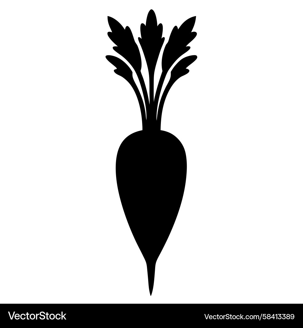 Parsnip Silhouette Vector Image