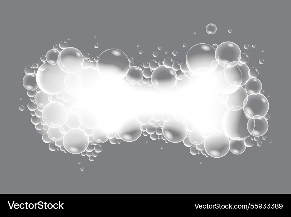 Soap bubbles displaying unique designs Soap bubbles displaying unique designs vector image