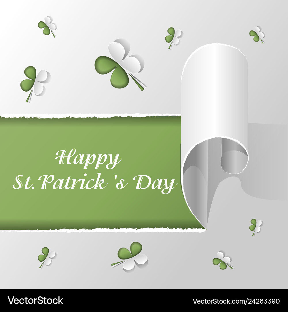 St patrick s day background with clover and text vector image