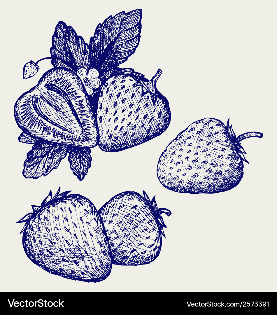 Cute Strawberry Doodle Vector Image