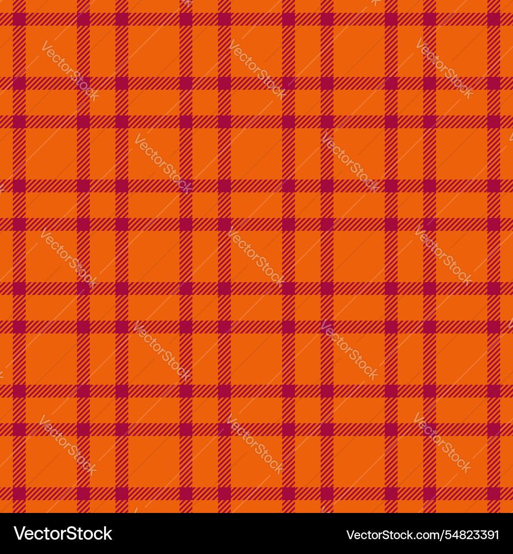 Expressive pattern fabric tartan image textile Vector Image