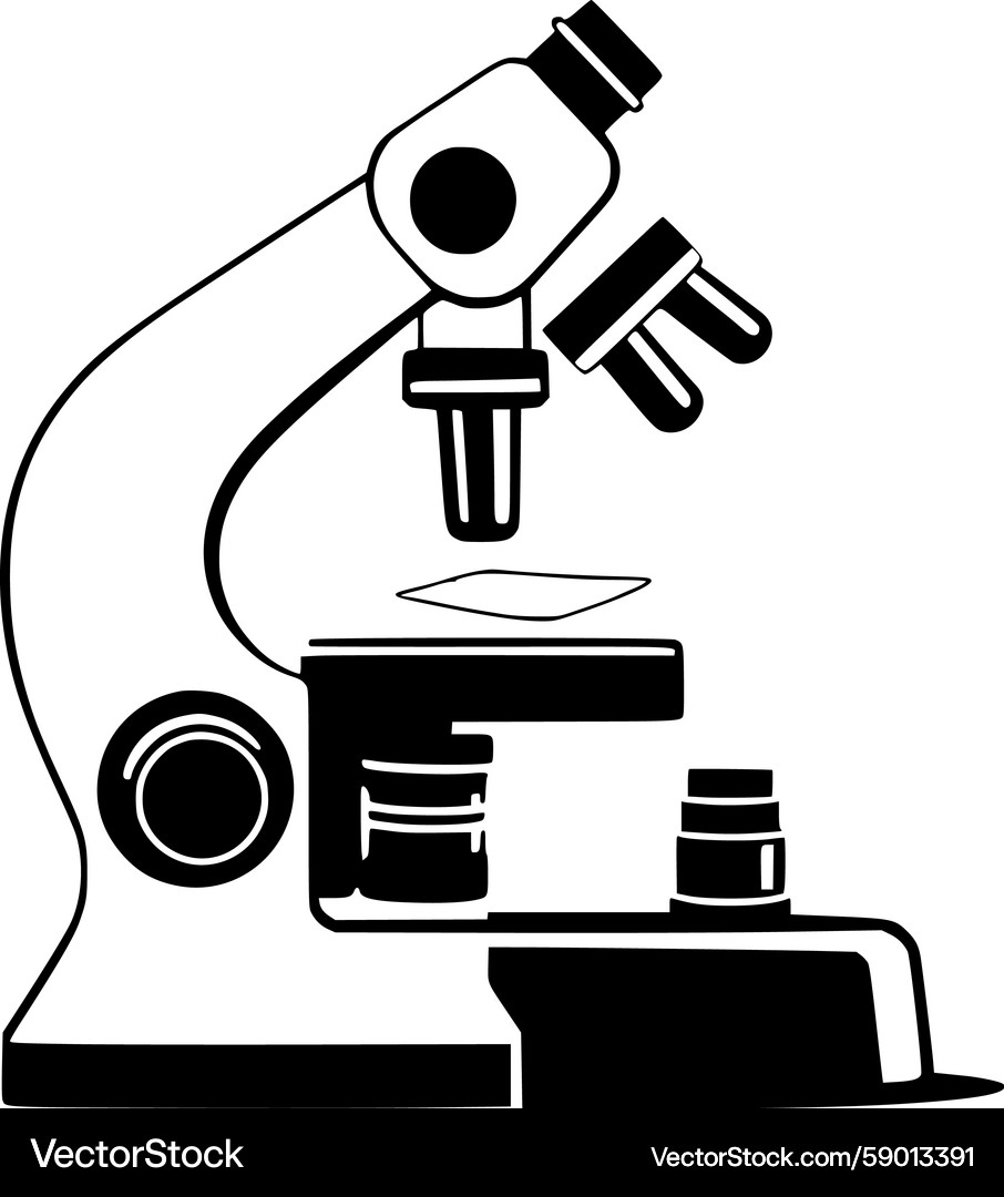Vector Microscope Slides Laboratory Microscope with Slide – Royalty-Free Vector | VectorStock