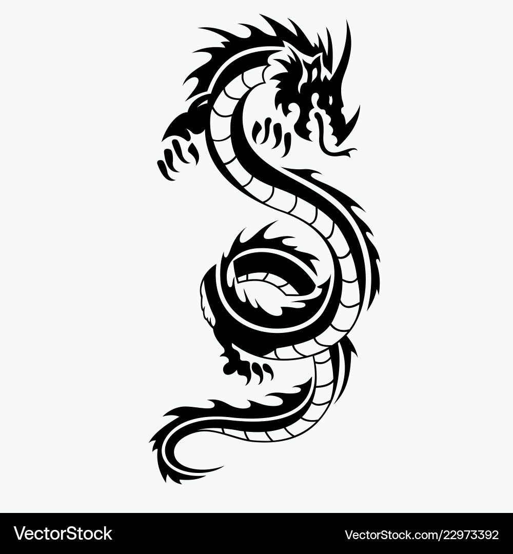 Dragon vector image