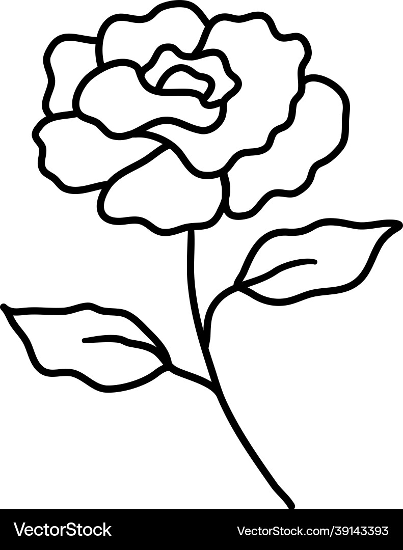 Hand drawn simple flower rose outline vector image