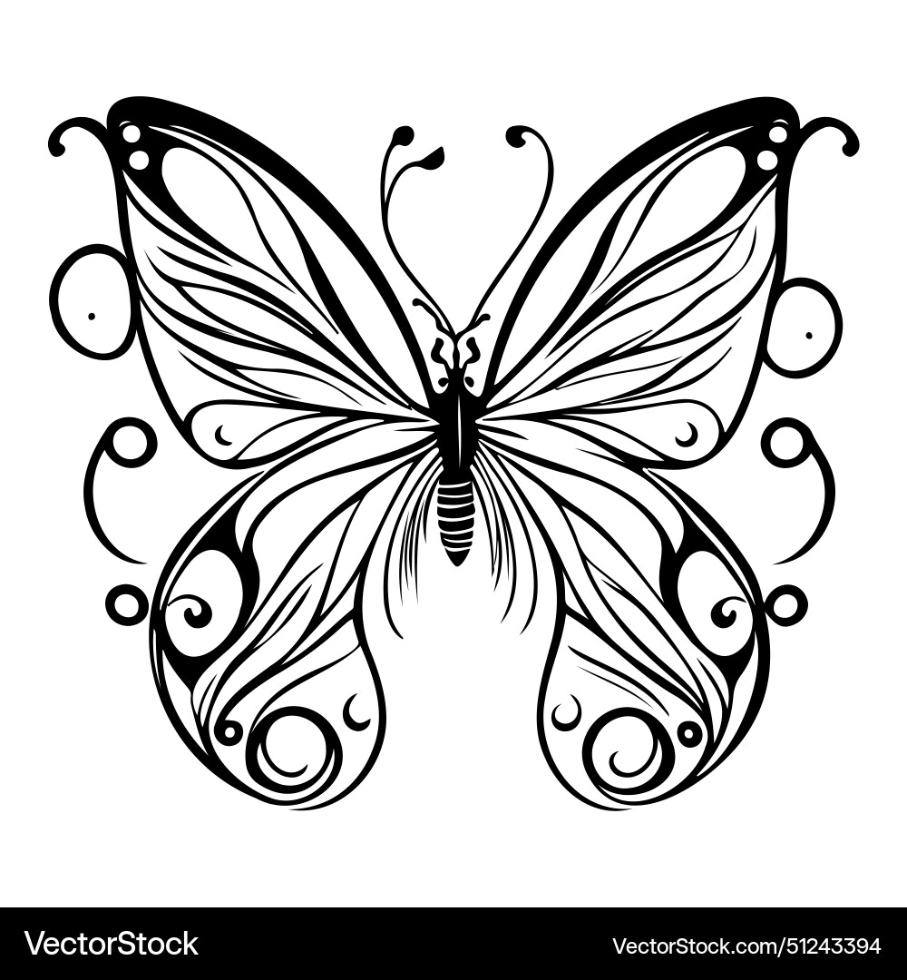 Royal swirls butterfly sketch vector image