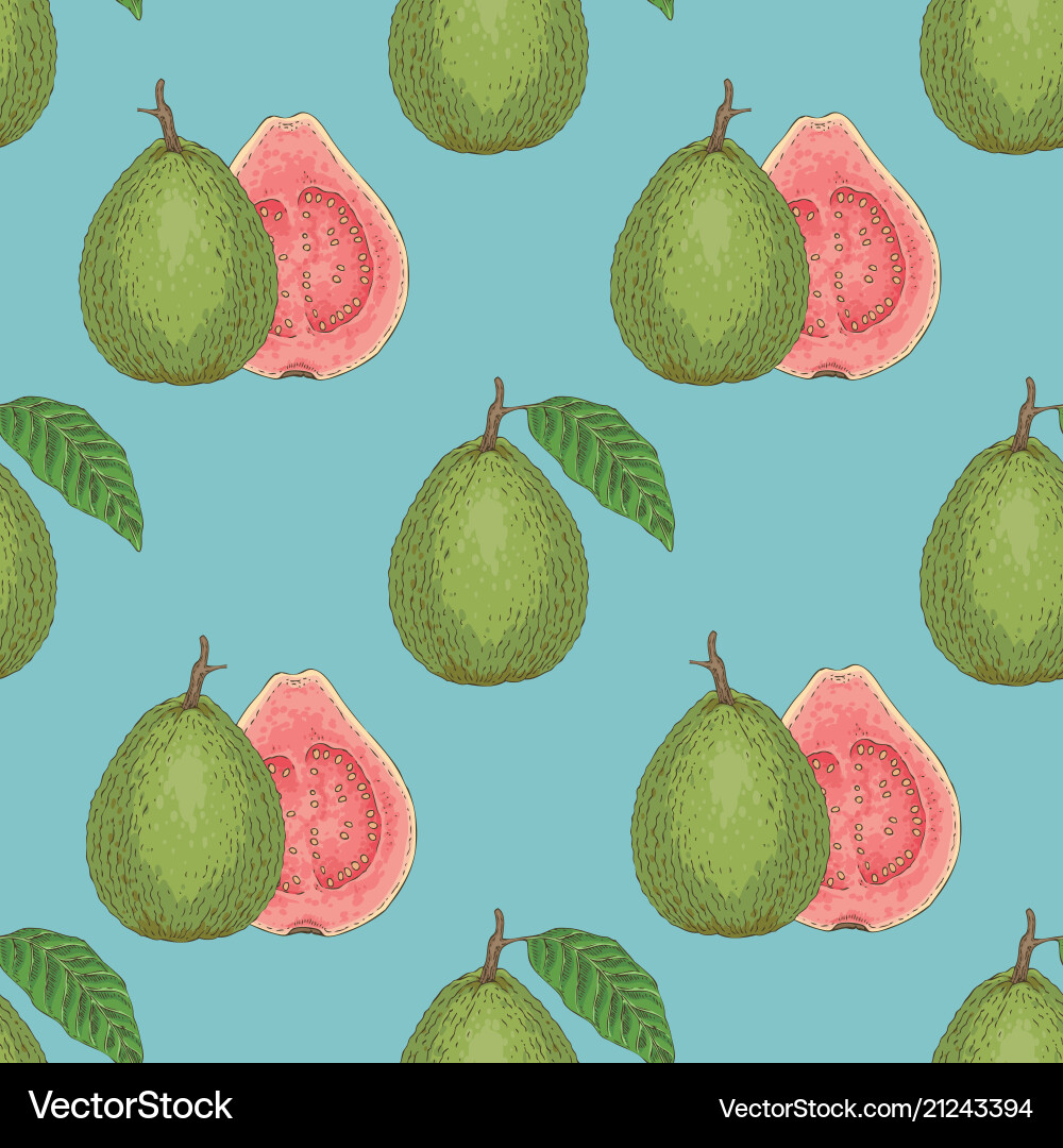 Seamless pattern with ripe guava leaf Seamless pattern with ripe guava leaf vector image
