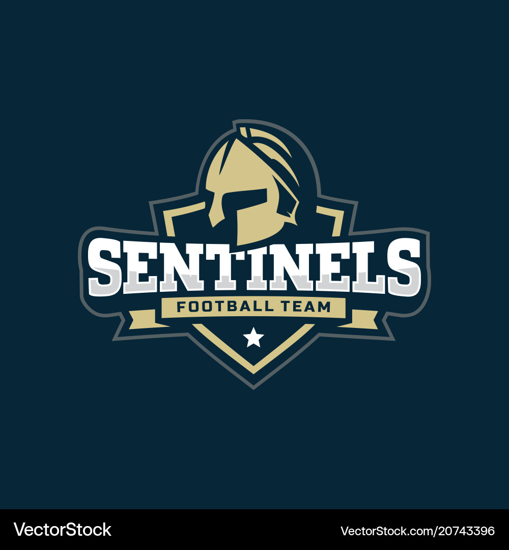 Modern professional football logo for sport team vector image