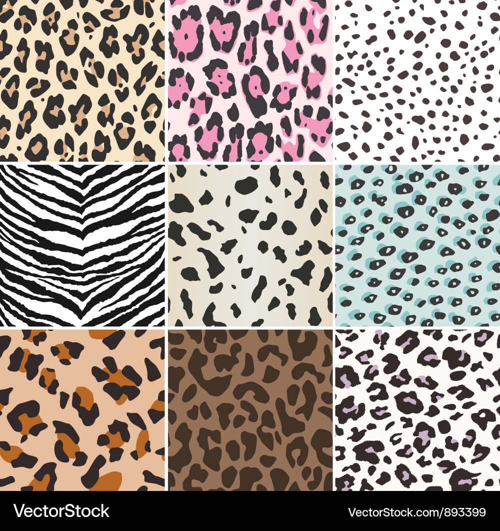 Animal Print Pattern Vector Image