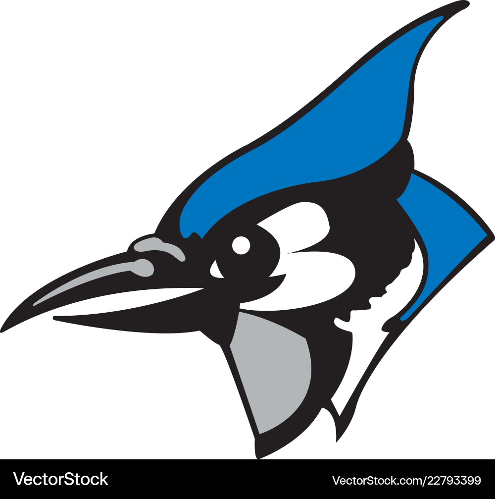 Blue Jay Sports Mascot Logo vector image
