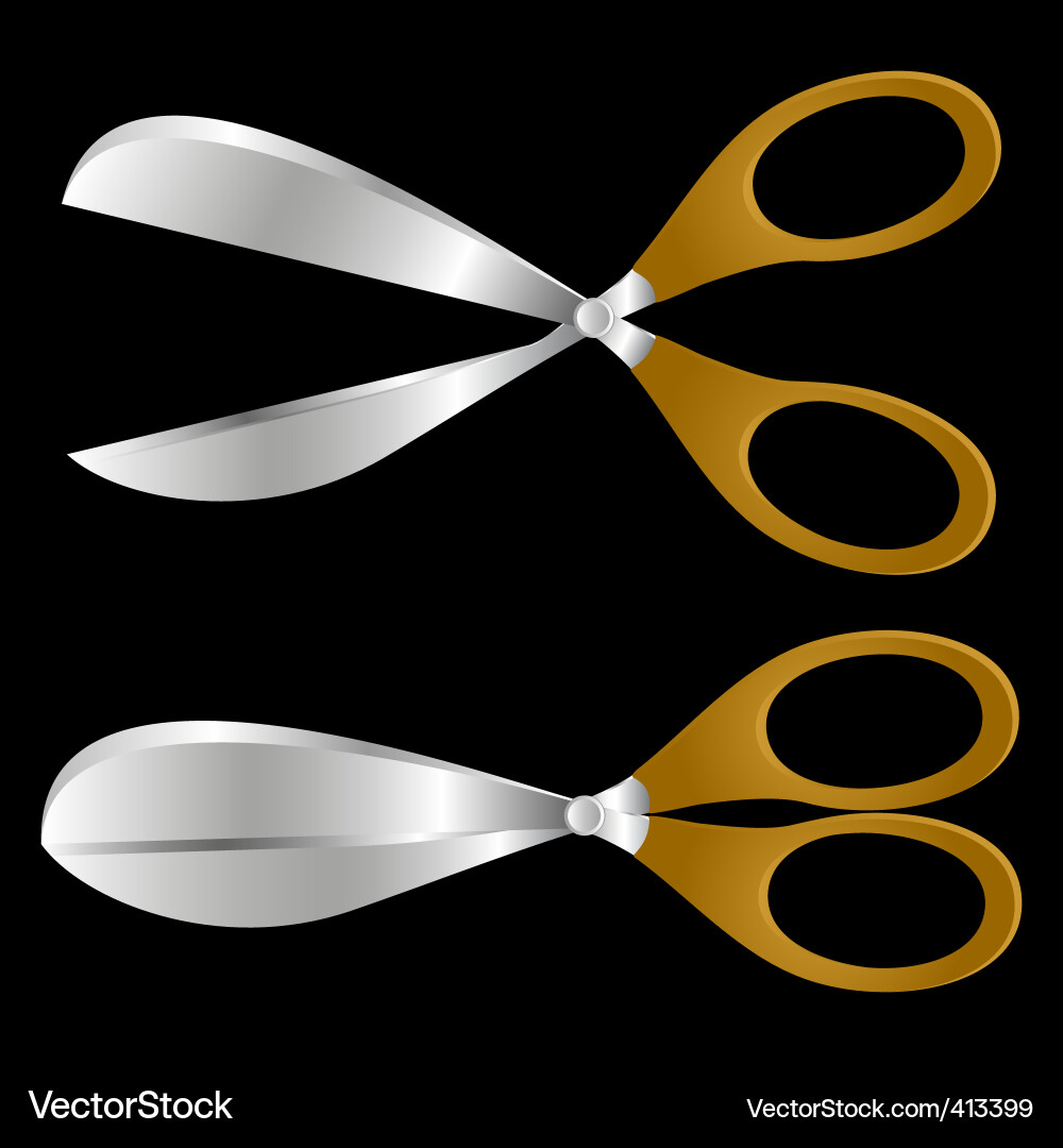 Scissors vector image