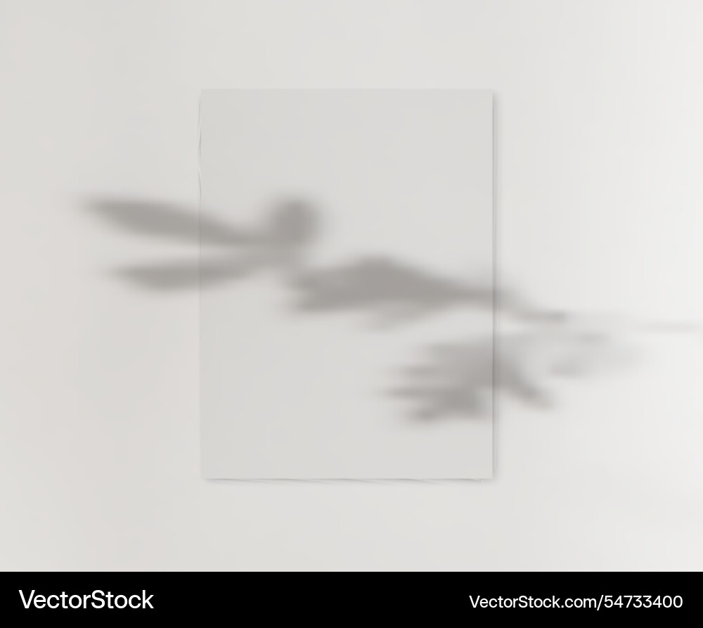 Drop shadow overlay effect on blank sheets Drop shadow overlay effect on blank sheets vector image
