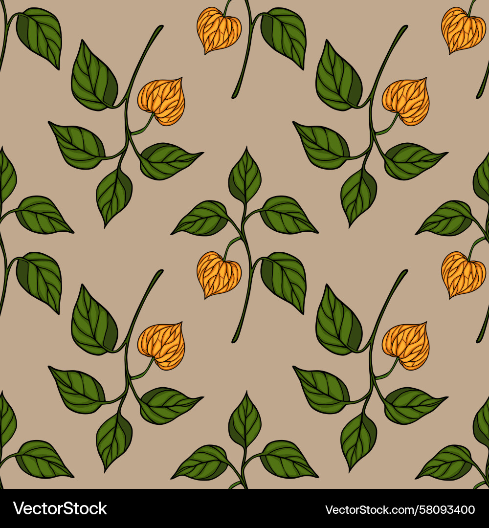Stylized Physalis Branch Pattern Vector Image