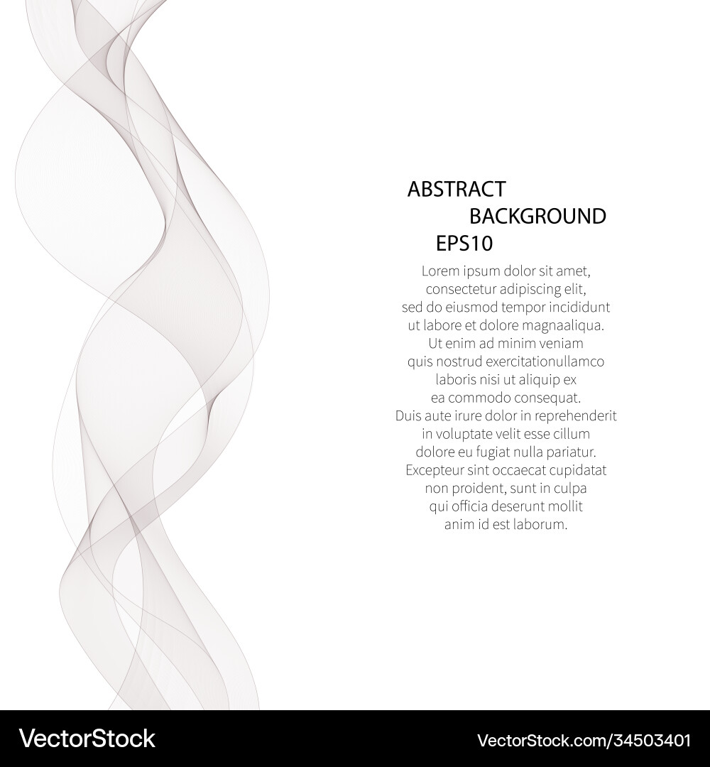 Abstract smooth gray wave curve flow grey Abstract smooth gray wave curve flow grey vector image