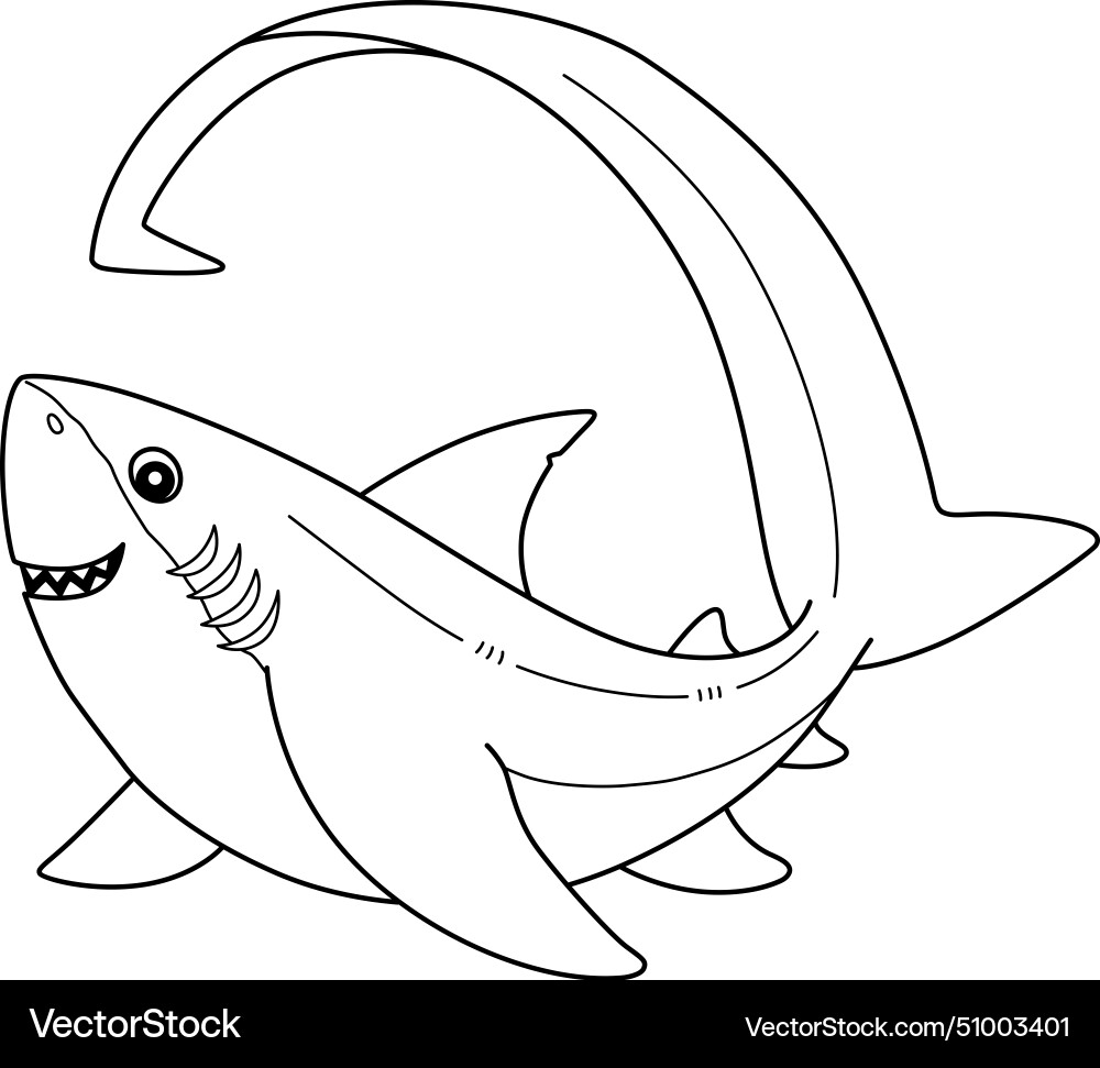Thresher shark isolated coloring page for kids Vector Image