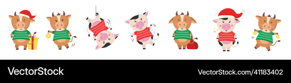 Color bulls chinese new year 2021 cow with horns Color bulls chinese new year 2021 cow with horns vector image