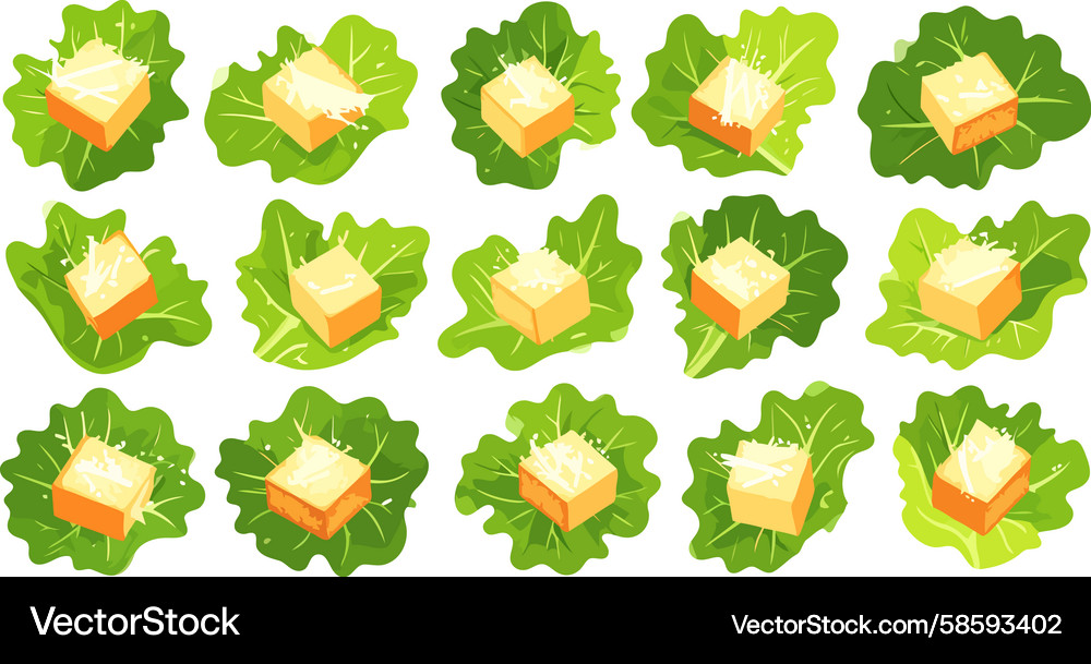 Vibrant array of tofu bites on crisp lettuce Vector Image