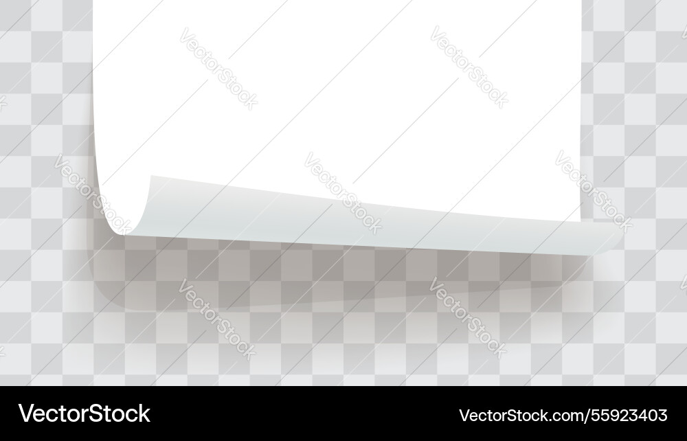 A paper bottom rolled on template back Vector Image