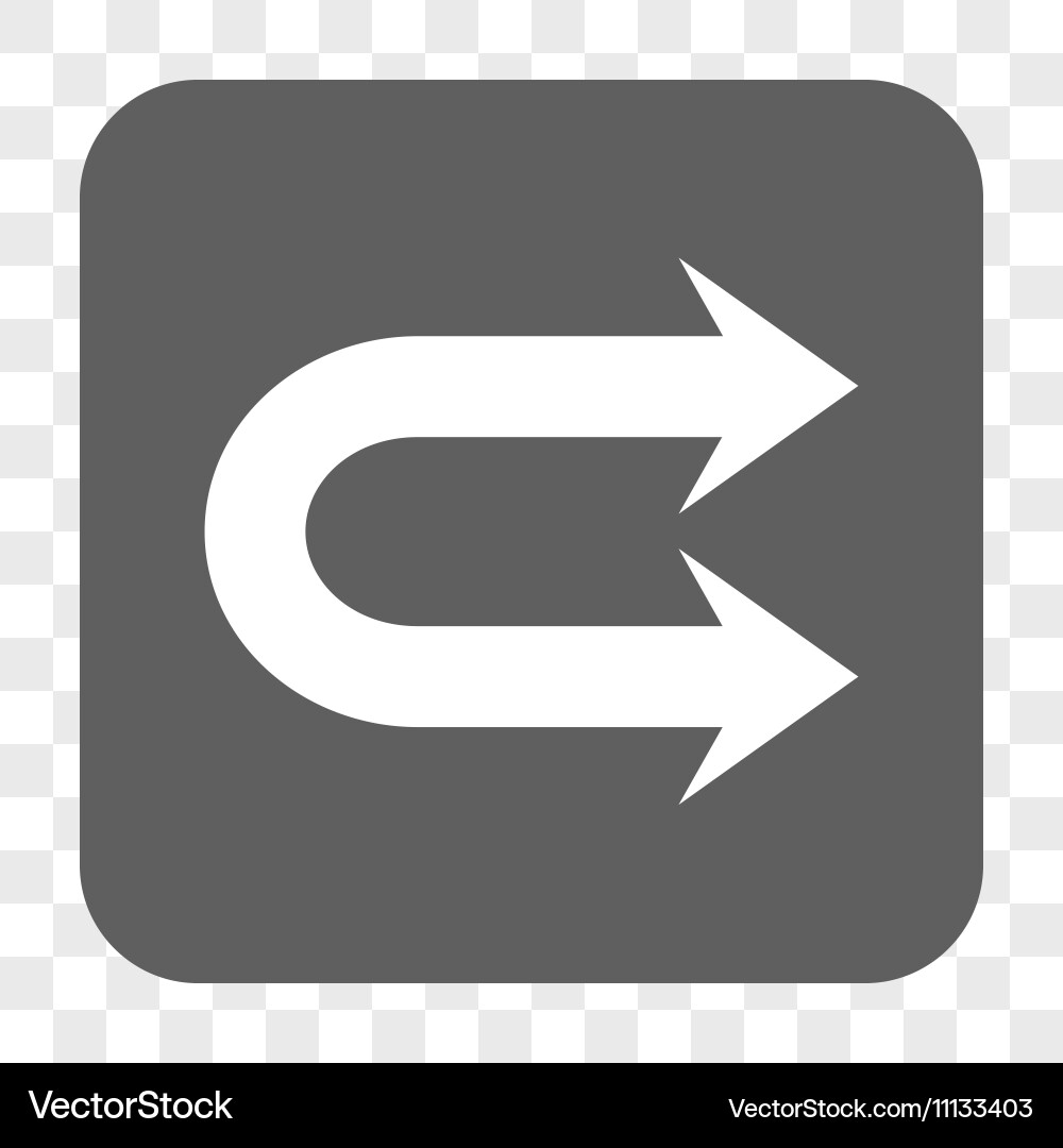 Double right arrow rounded square button Vector Image