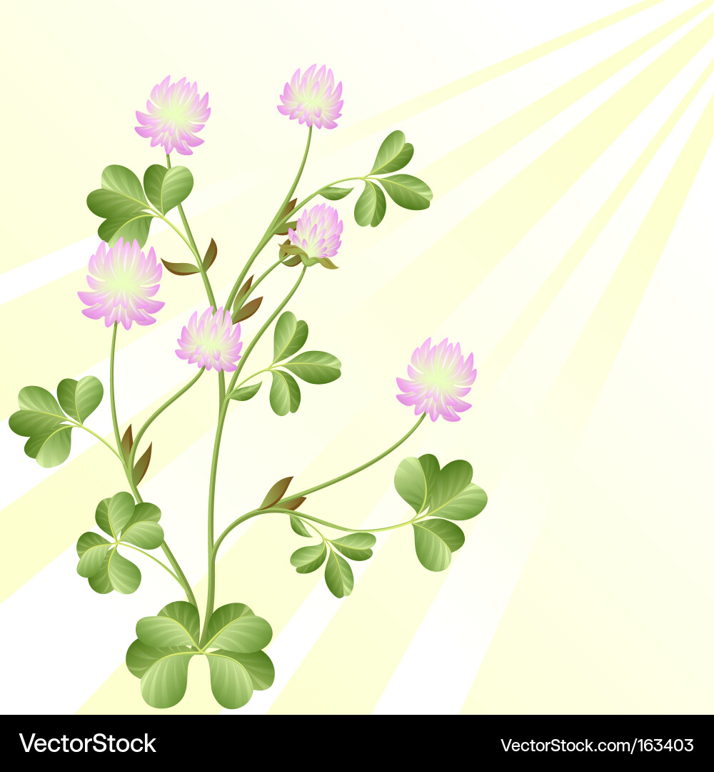 Elegant Clover Pattern Vector Image